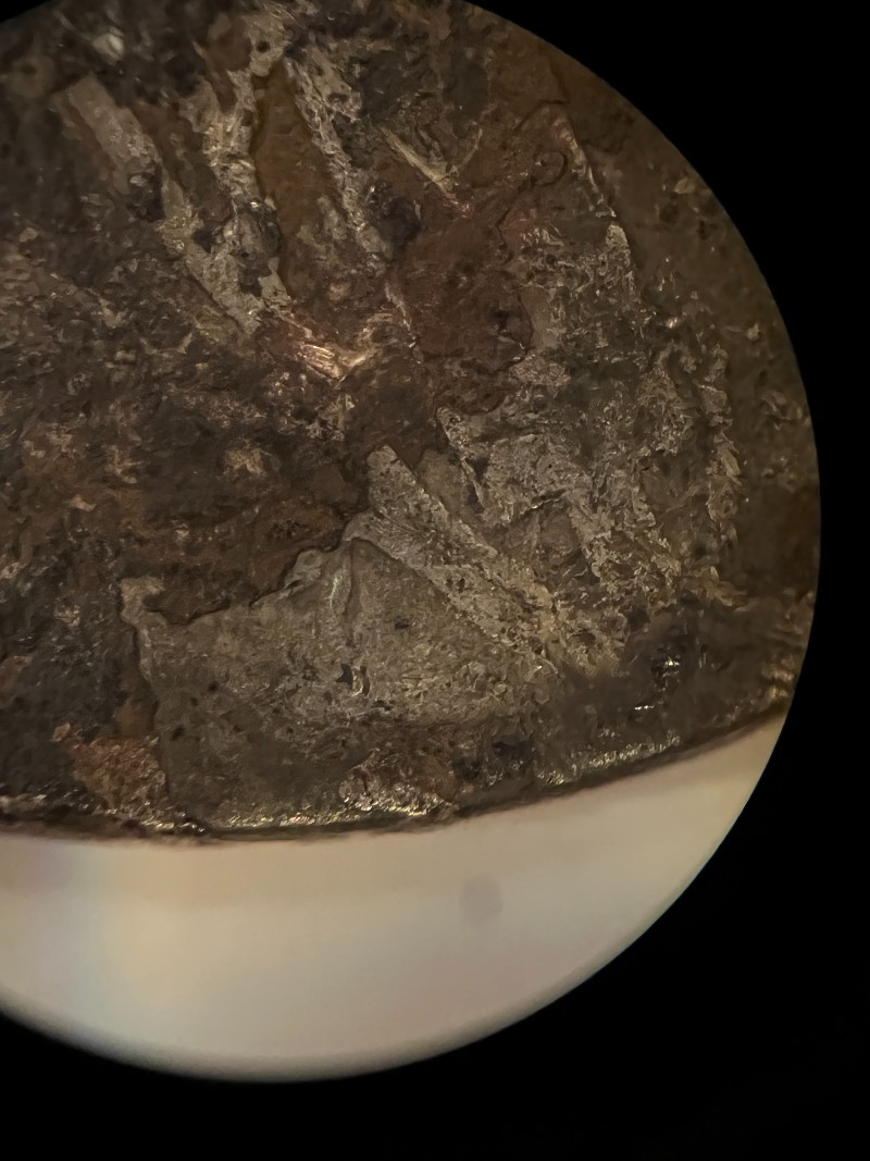 Heavily-Damaged-/-Burnt-1916-Mercury-Or-1916-D-Mercury-Dime?